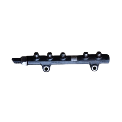 Riel de alta presión Delphi 968529758002 para (Peugeot, Citroën) y Ford, equipados con motores diésel 1.4 HDi y 1.6 HDi
